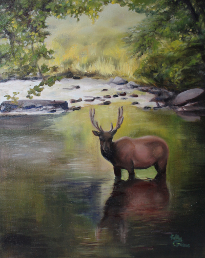 River Elk